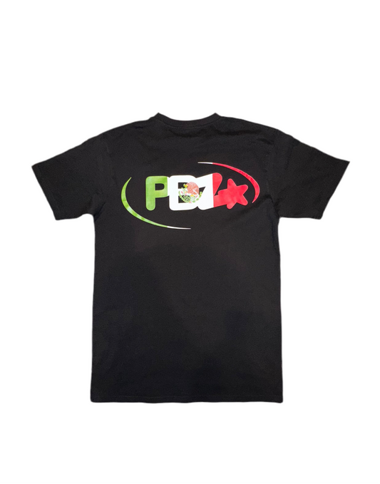“Cinco De Mayo” T-Shirt ( Black )